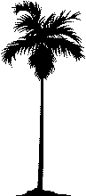 picture of tree